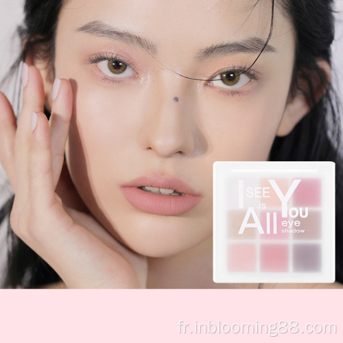 Luxe en gros Luxury Colorful Makeup Eyeshadow à vendre